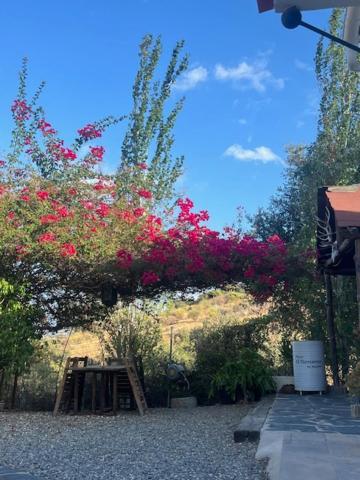 Finca El Remanso De Marta Malaga Exterior photo